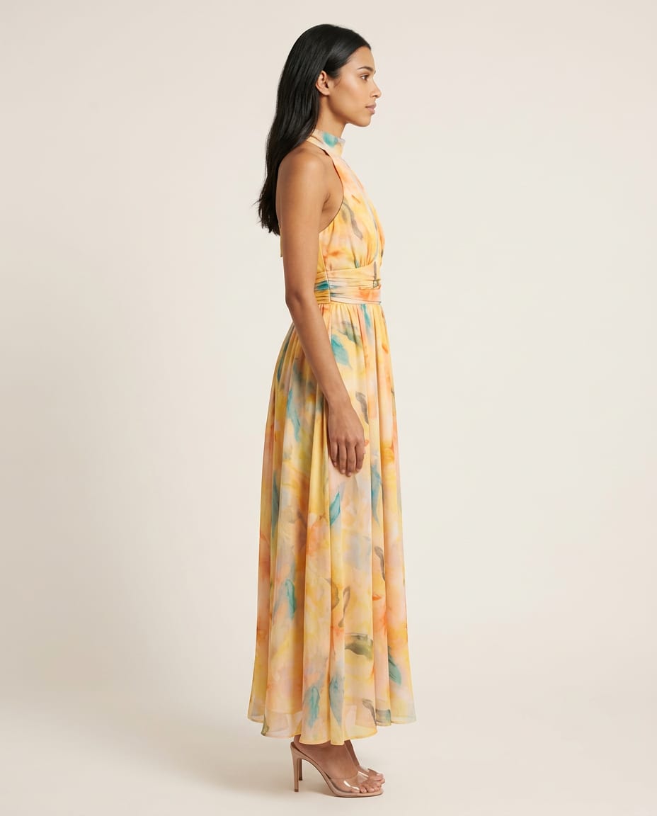 Daphne Elegant Maxi Dress